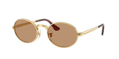 RAY BAN  ASAP ROCKY SUNGLASS |RB 3931