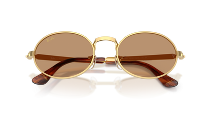 RAY BAN  ASAP ROCKY SUNGLASS |RB 3931