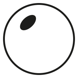 OPTICSHELF PHOTOCHROMIC